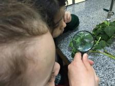 Trabajo en el Laboratorio 2018