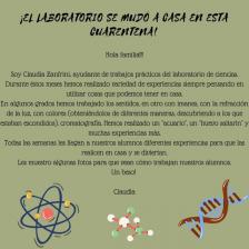  El laboratorio se mudó a casa - 2020