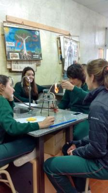 4º año en el Laboratorio 2017